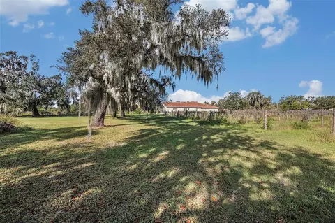 Exterior - 331 Lewis Rd, Lithia, FL 33547 photo 9 of 26