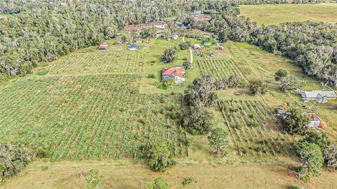 View/Area - 331 Lewis Rd, Lithia, FL 33547 photo 16 of 18