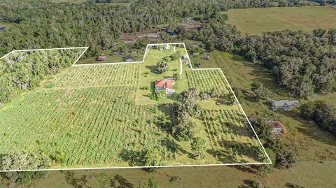 Other - 331 Lewis Rd, Lithia, FL 33547 photo 17 of 19