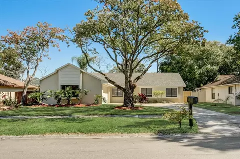 15803 Crying Wind Dr, Tampa, FL 33624