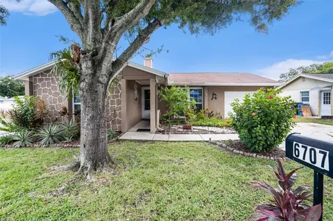 6707 Village Grove Ct, Tampa, FL 33615