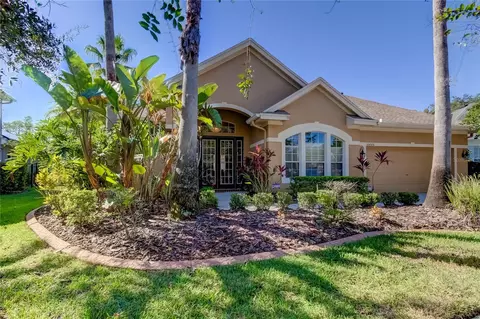 10448 Greendale Dr, Tampa, FL 33626