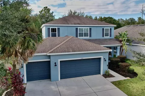 11234 Wembley Landing Dr, Lithia, FL 33547