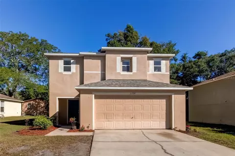 11704 Mango Groves Blvd, Seffner, FL 33584