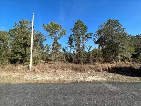 Mango Lane, Dunnellon, FL 34431