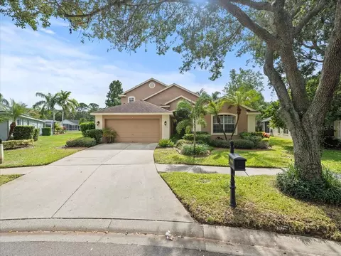 10409 Lightner Bridge Dr, Tampa, FL 33626