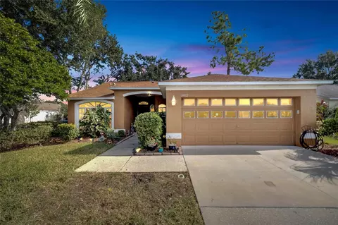 13302 Silvercreek Dr, Riverview, FL 33579
