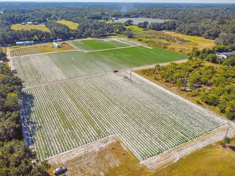 Osprey View Ln, Plant City, FL 33566