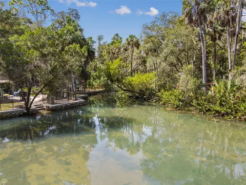 6002 Avenue Of The Palms, Weeki Wachee, FL 34607