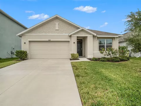 15849 Sea Canary Pl, Odessa, FL 33556