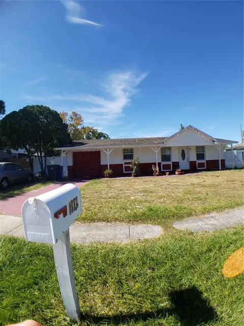 1009 Papaya Dr, Tampa, FL 33619