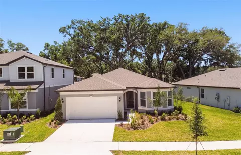 2825 Dolores Home Ave Ln, Valrico, FL 33594