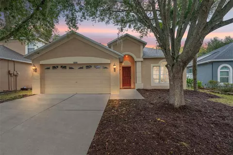 10210 Grant Creek Dr, Tampa, FL 33647