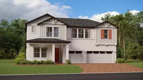 22118 Nebula Way, Land O Lakes, FL 34637
