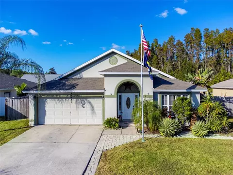 30823 Luhman Ct, Wesley Chapel, FL 33543