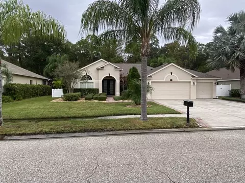 16132 Ivy Lake Dr, Odessa, FL 33556
