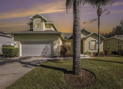 1532 Crazy Horse Dr, Lutz, FL 33559