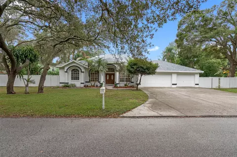 16121 W Lake Burrell Dr, Lutz, FL 33549