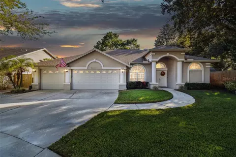 4410 Round Lake Ct, Tampa, FL 33618
