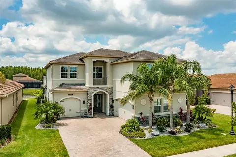 31168 Chesapeake Bay Dr, Wesley Chapel, FL 33543