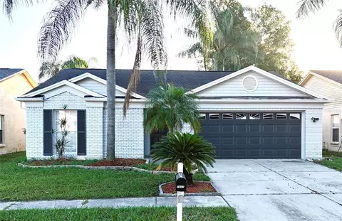 10119 Cedar Dune Dr, Tampa, FL 33624