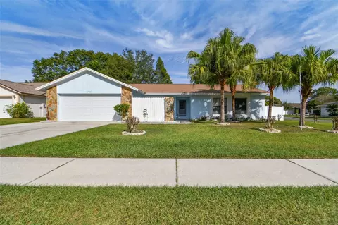 1706 Shady Leaf Dr, Valrico, FL 33596
