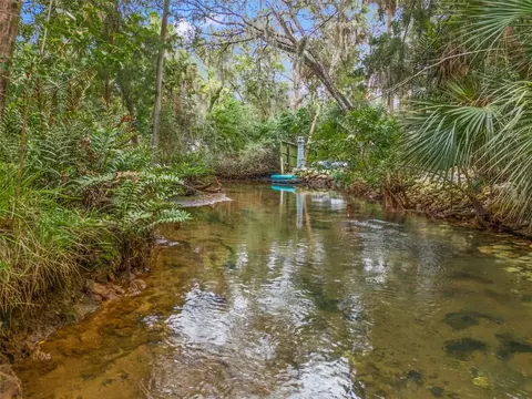 Avenue Of The Palms, Weeki Wachee, FL 34607
