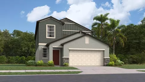 12534 Timber Moss Ln, Riverview, FL 33579