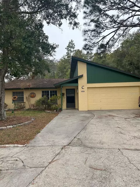 6520 Secrest Ct, Tampa, FL 33625