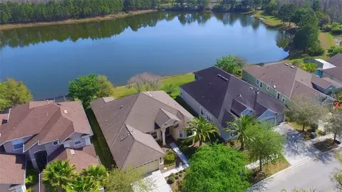 20419 Walnut Grove Ln, Tampa, FL 33647