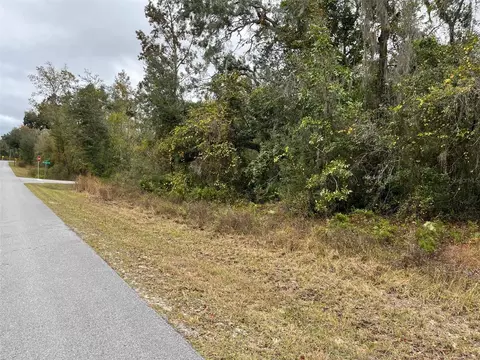 7338 N Canal St, Webster, FL 33597
