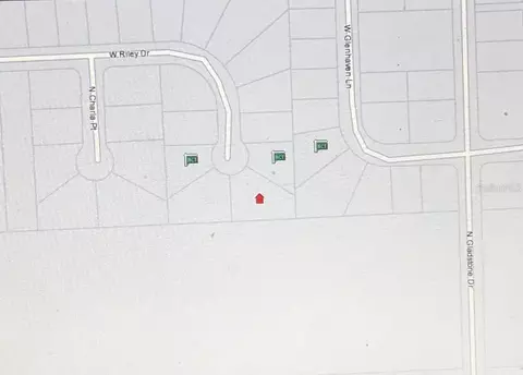 1005 W Riley Dr, Citrus Springs, FL 34434