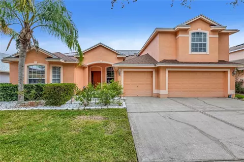 19107 Nature Palm Ln, Tampa, FL 33647