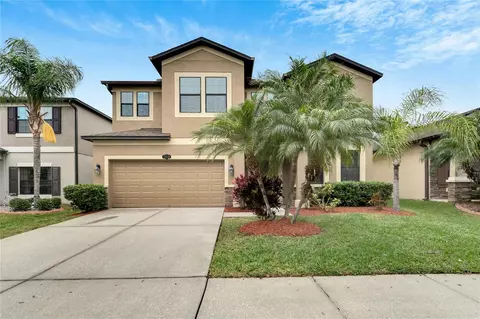 11618 Palmetto Pine St, Riverview, FL 33569