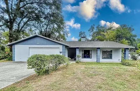4217 E Alene Dr, Tampa, FL 33617