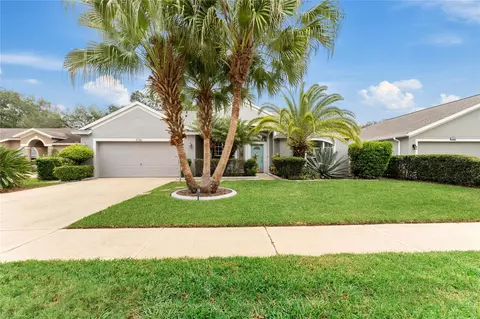 3724 Eaglewood St, Valrico, FL 33596
