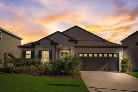 8399 Olive Brook Dr, Wesley Chapel, FL 33545