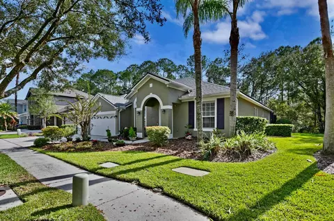16132 Colchester Palms Dr, Tampa, FL 33647