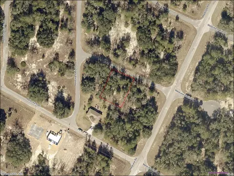 Undetermined, Weirsdale, FL 32195