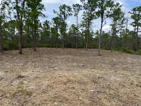 3623 Forrest Point Ave, Lake Placid, FL 33852