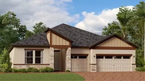 8290 Flying Fish Ct, Land O Lakes, FL 34637