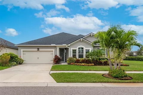 13403 Nimble Minke Pl, Riverview, FL 33579