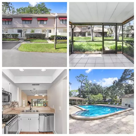 1008 Cicero Ln, Brandon, FL 33511