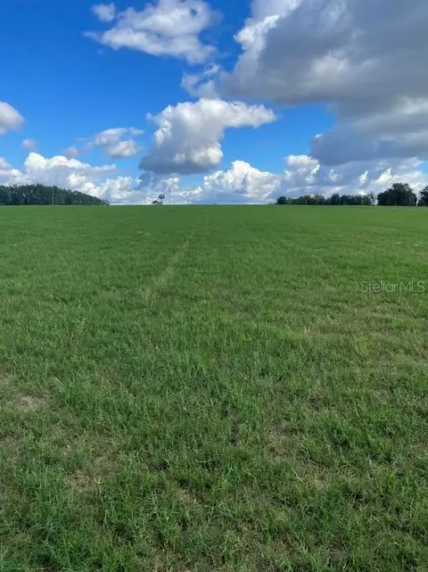 33523 Clay Hill Road, Dade City, FL 33523