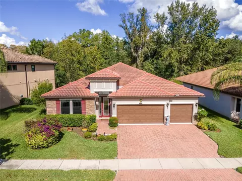 2935 Calvano Dr, Land O Lakes, FL 34639