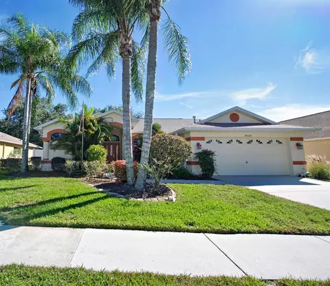 24330 Branchwood Ct, Lutz, FL 33559