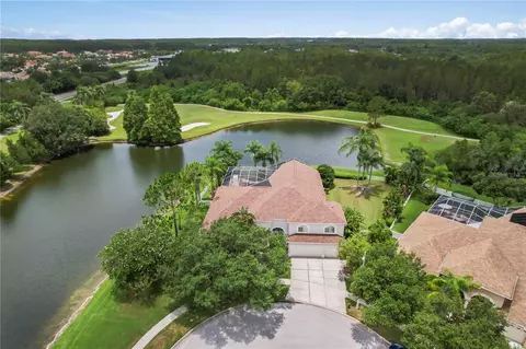 19102 Harborbridge Ln, Lutz, FL 33558
