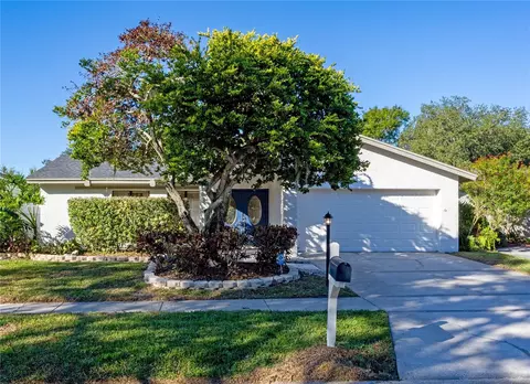 13912 Hayward Pl, Tampa, FL 33618
