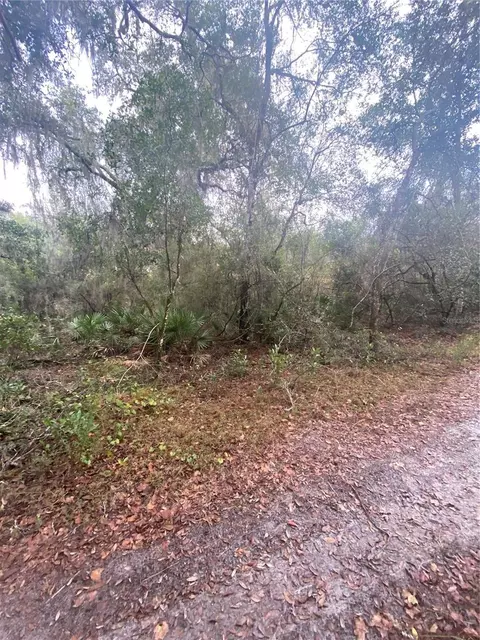 4225 S Tamarak Pt, Inverness, FL 34450