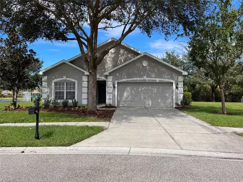 6245 Dainty Bess Ct, Land O Lakes, FL 34639